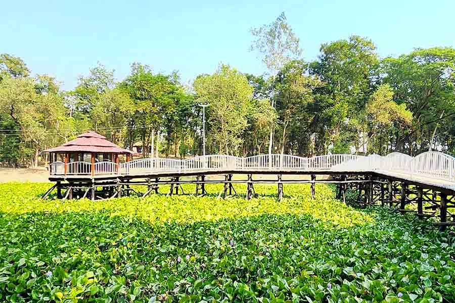 Garh Mandaran Picnic Spot Kamarpukur Arambag Jayrambati